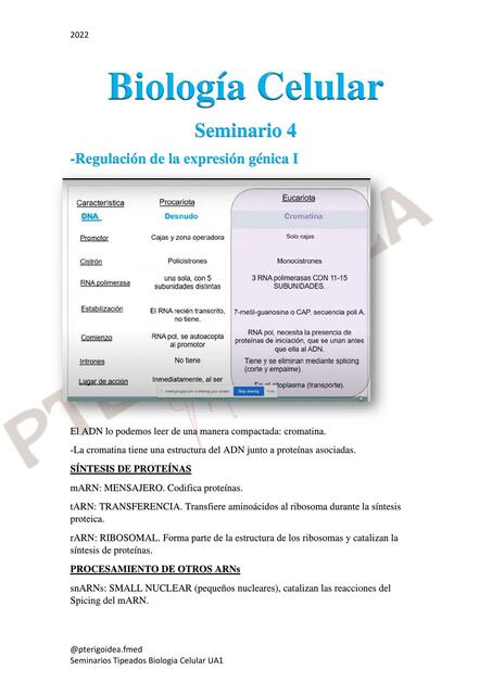 Seminarios Tipeados Biologia Celular UA1     