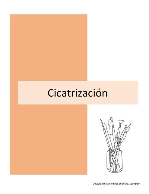 Proceso de Cicatrización 