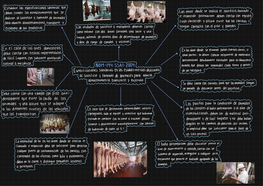 NOM 194 SSA1 Especificaciones sanitarias para establecimientos de sacrificio