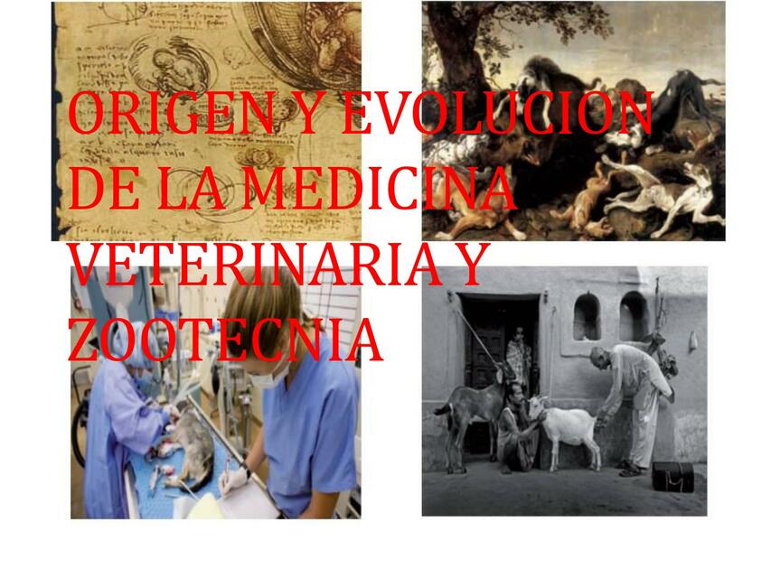  Origen y evolución de la medicina veterinaria y zootecnia