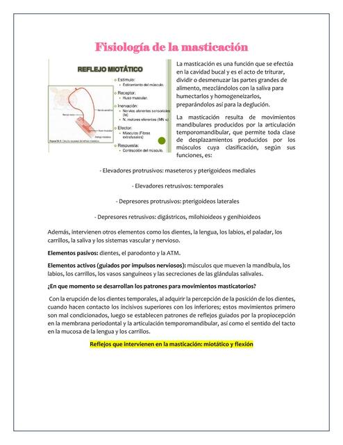 Fisiología de la Masticación