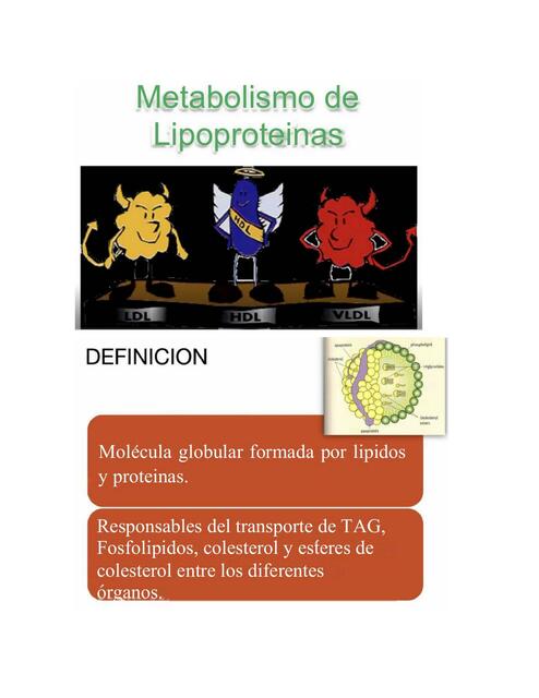 Lipoproteínas