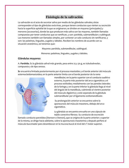 Fisiología de la salivación