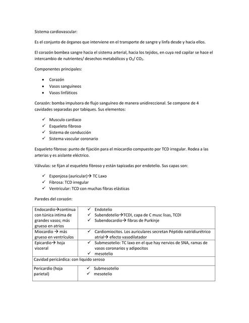 Sistema Cardiovascular 