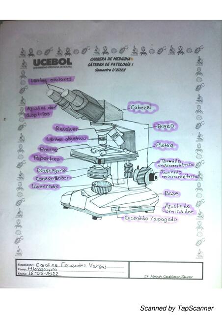 Microscopio