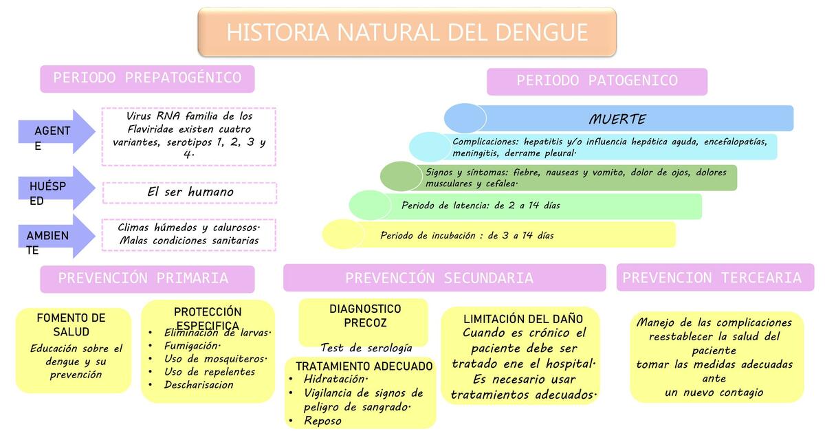 Historia Natural del Dengue