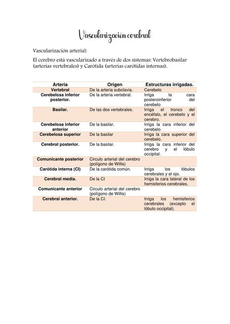 Vascularización Cerebral 