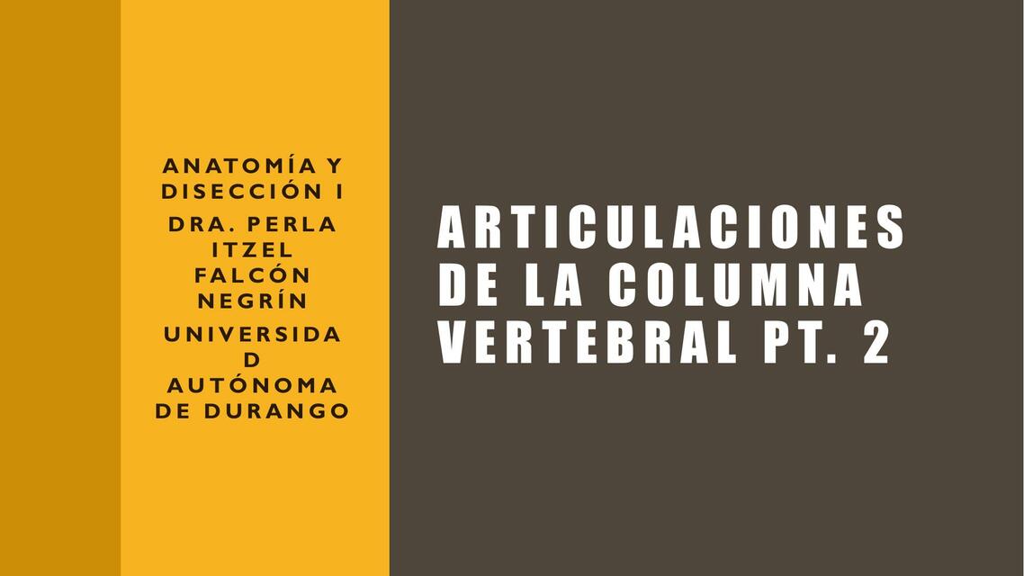 Articulaciones de la columna y generalidades del tórax 