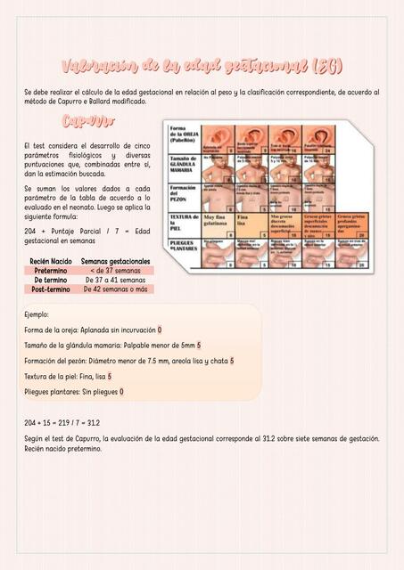 Valoración de la edad gestacional 