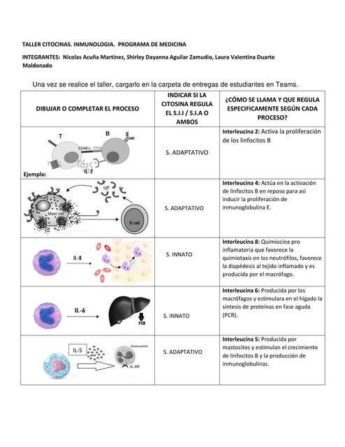 Taller Citocinas