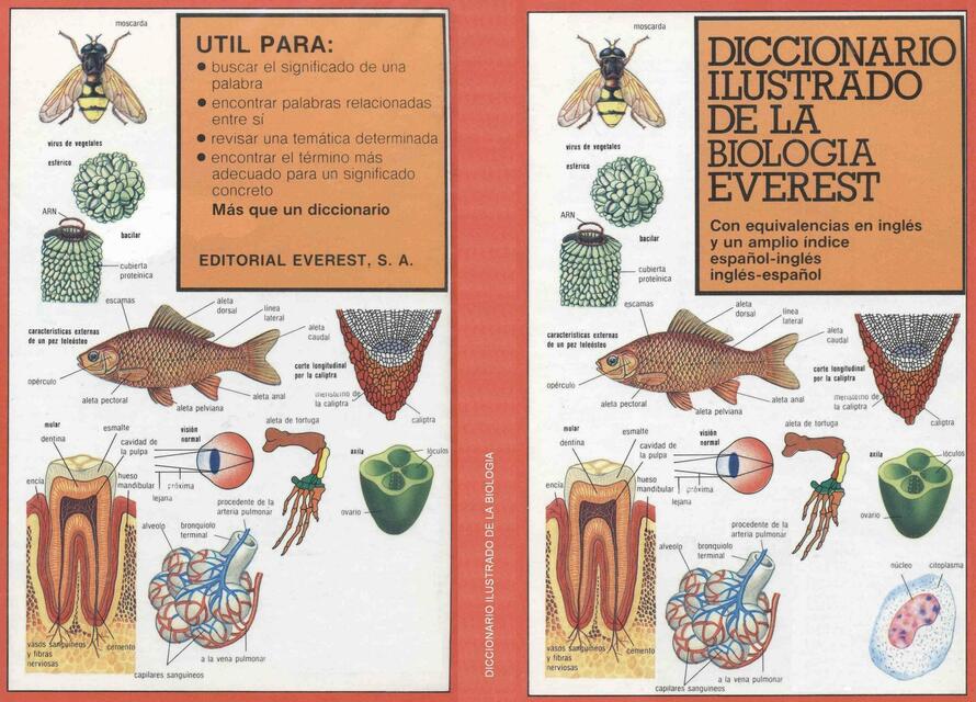 Diccionario Ilustrado de Biología 