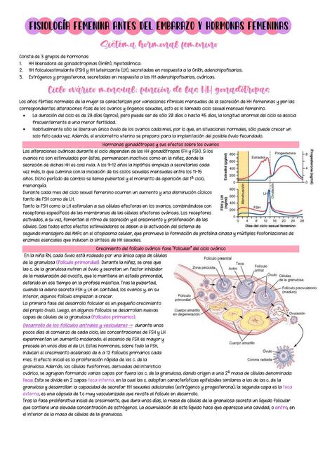 Fisiología Femenina Antes del Embarazo y Hormonas Femeninas 