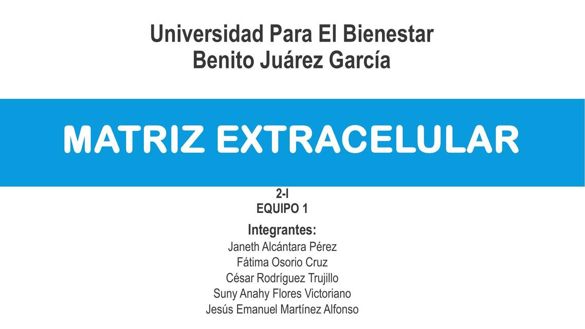 Matriz Extracelular