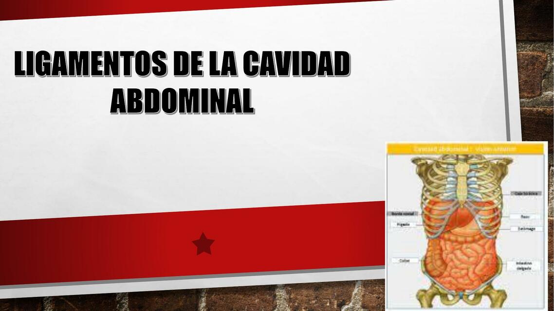 Ligamentos de la Cavidad Abdominal 