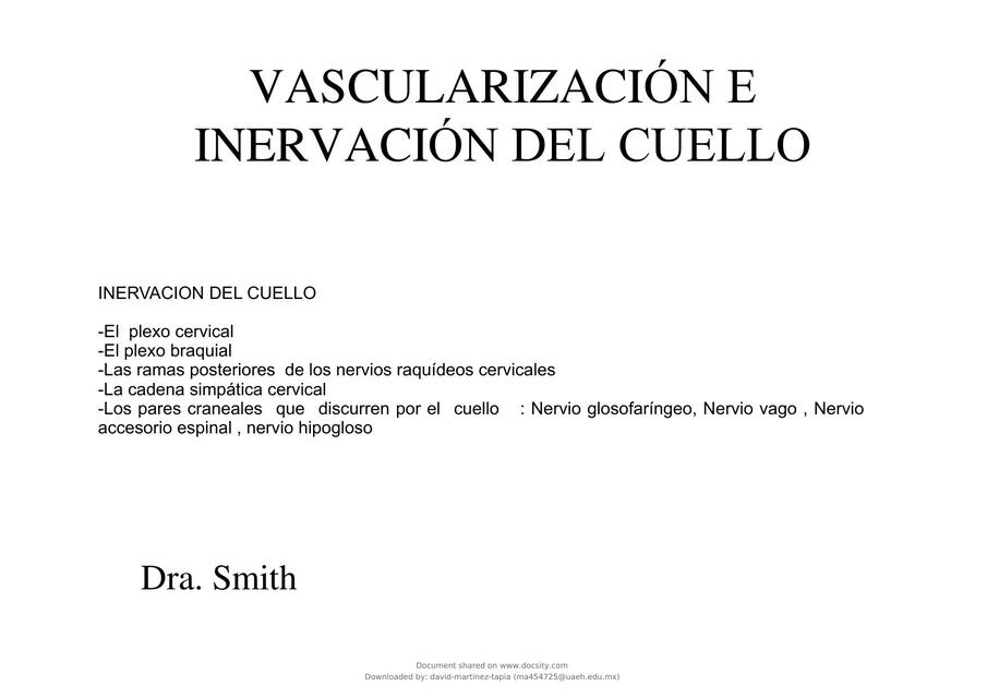 Inervación del Cuello