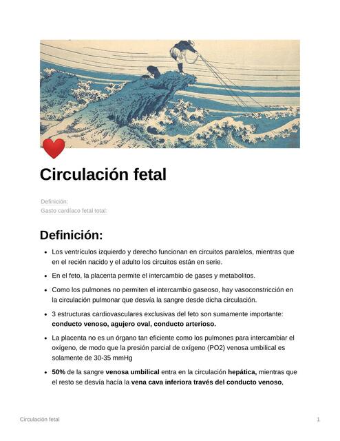 Circulación Fetal