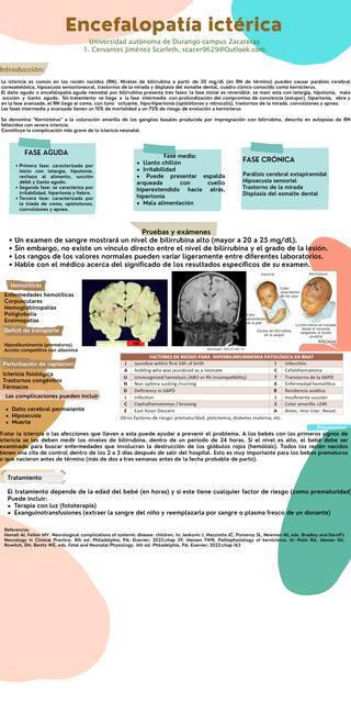 Encefalopatía ictérica neonatal