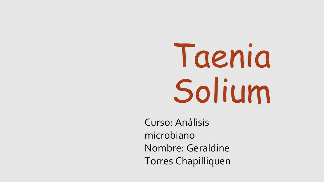 Taenia solium 