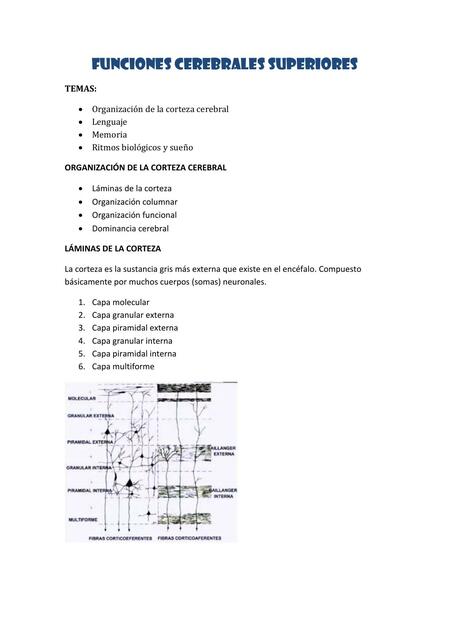 Funciones Cerebrales Superiores 