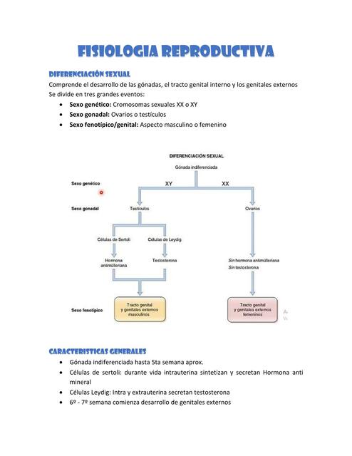 Fisiología Reproductiva 