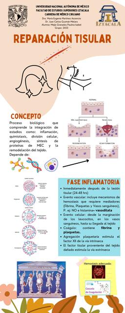 Reparación Tisular