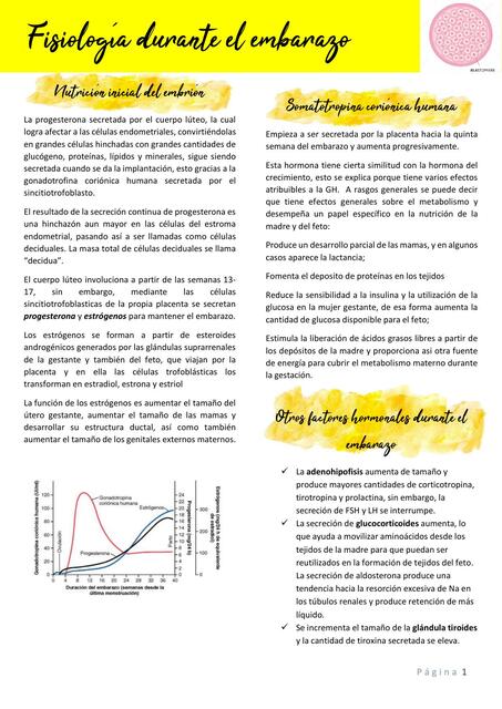 Fisiología Durante el Embarazo 