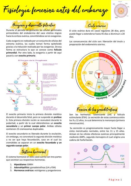 Fisiología de Aparato Reproductor Femenino