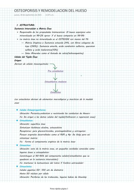 Osteoporósis y Remodelación del Hueso