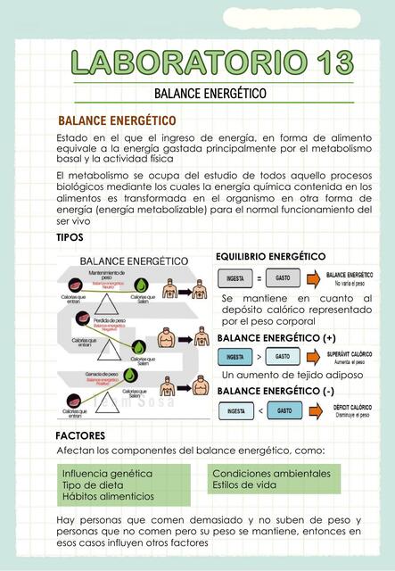 Balance Energético 