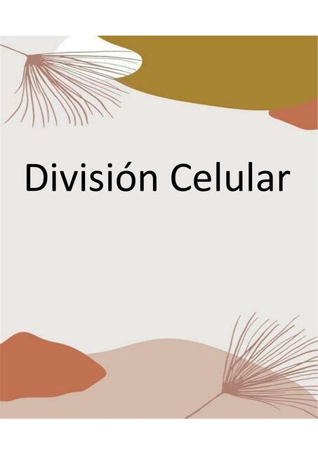 División celular