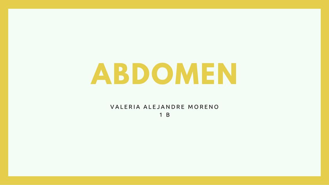 Abdomen