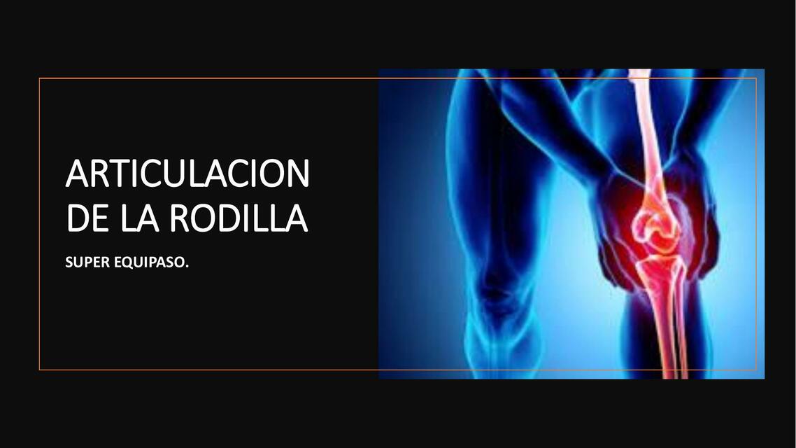 Articulación de la Rodilla 