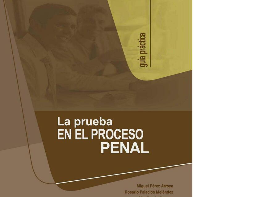 La prueba en el proceso penal