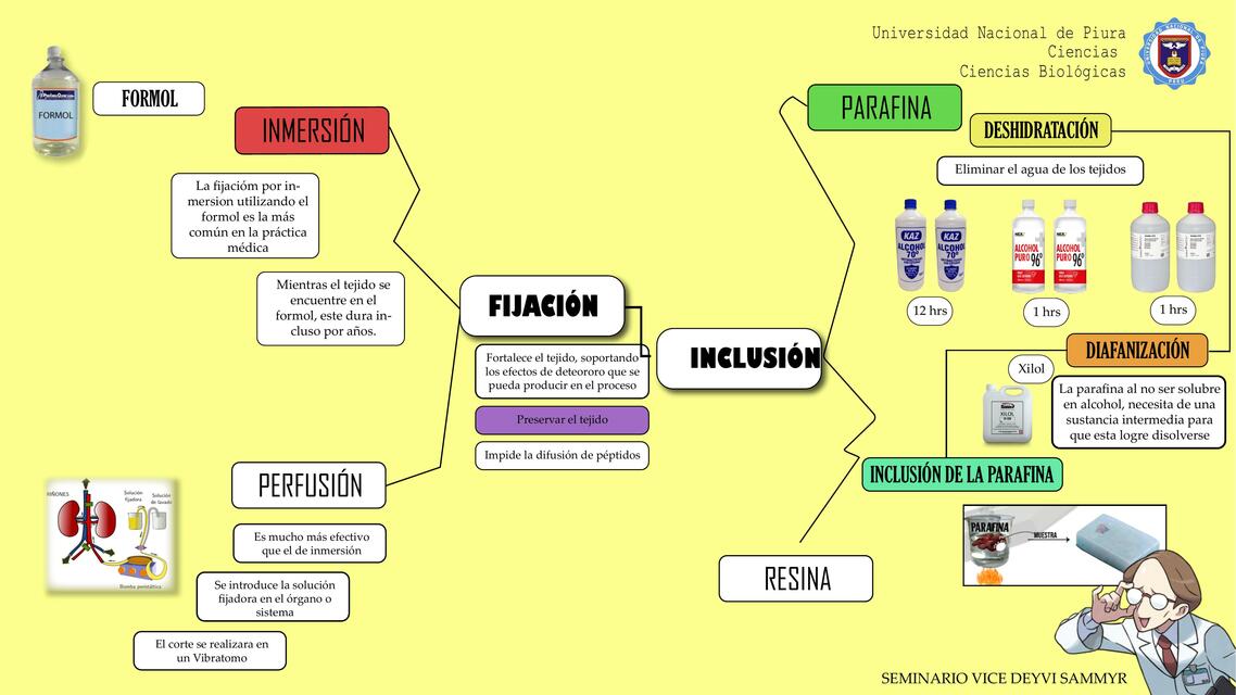 Fijación e Inclusión