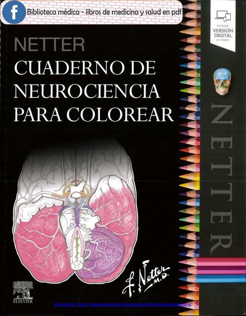 Cuaderno de Neurociencia para Colorear