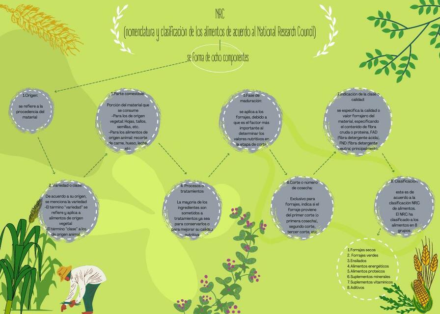 Nomenclatura y clasificación de los alimentos de acuerdo al National Research Council