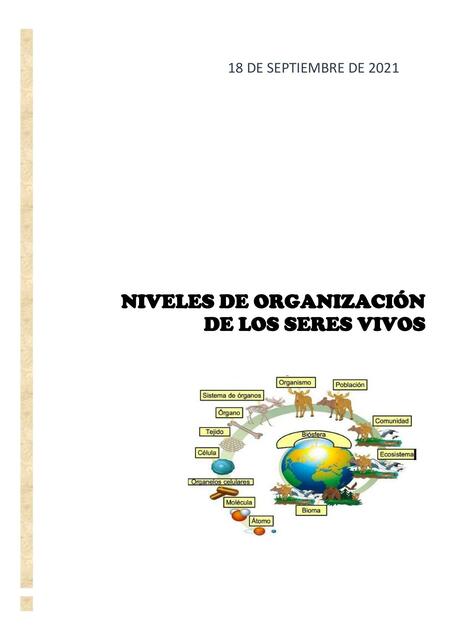 Niveles de Organización de los Seres Vivos