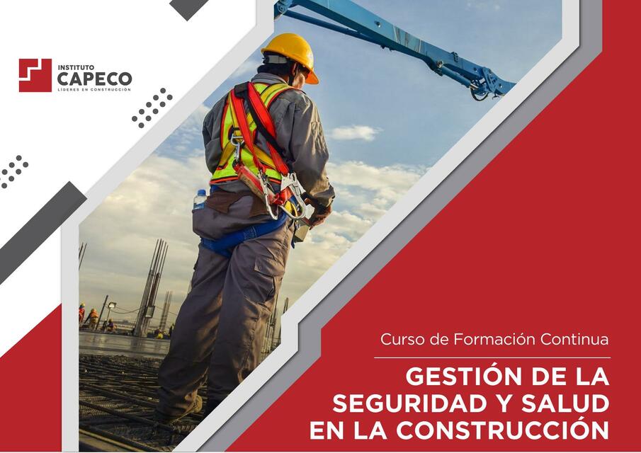 Gestión de la Seguridad y Salud en la Construcción 