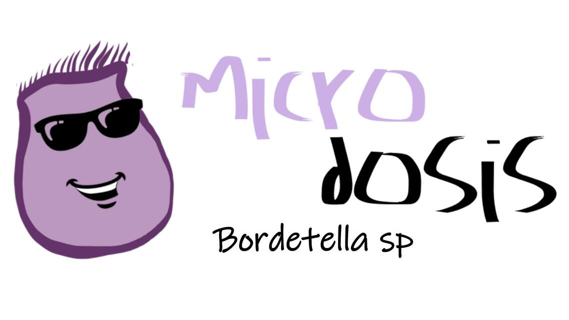 Microdosis Bordetella Pertussis