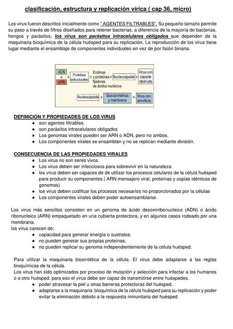 Clasificación, Estructura y Replicacion Virica