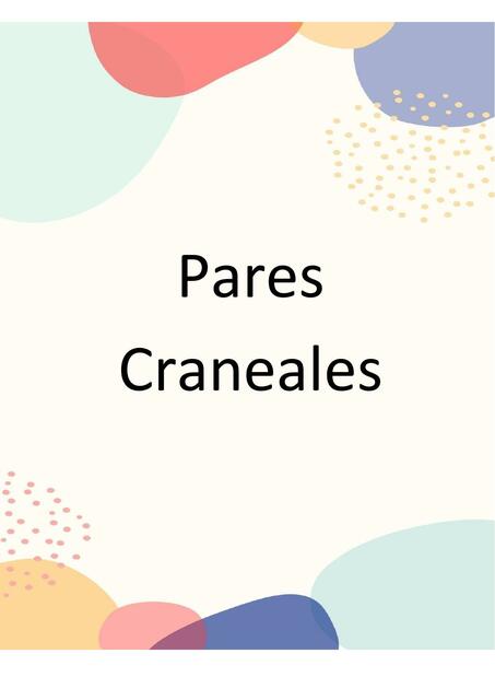 Pares Craneales