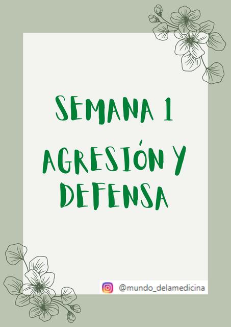 Agresión y Defensa