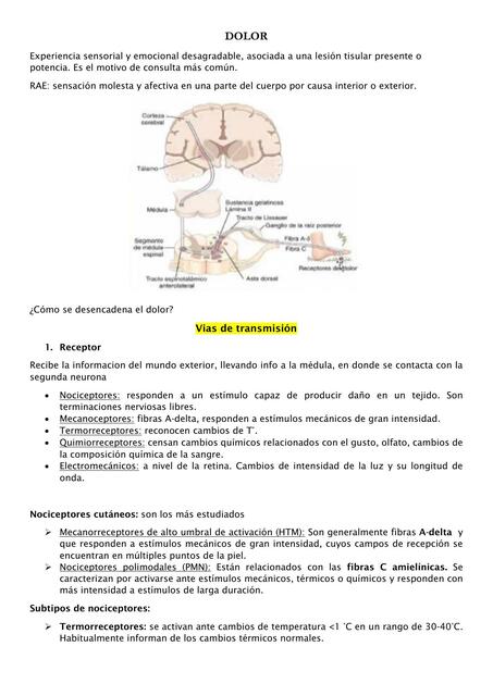 Dolor 