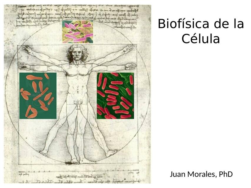  Biofísica de la Célula