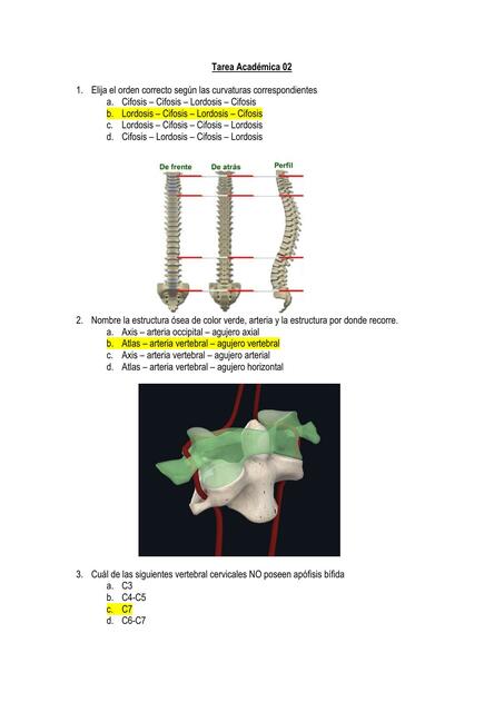 Sistema Locomotor