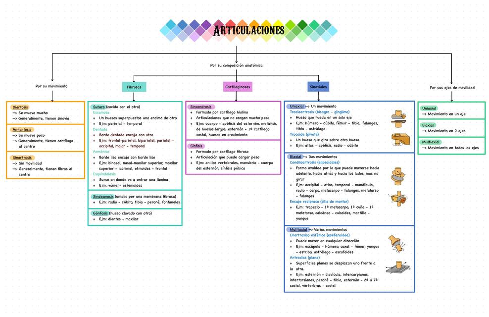 Clasificación de Articulaciones