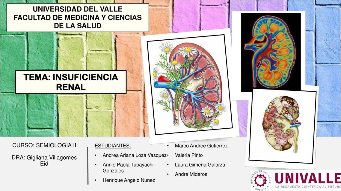 Insuficiencia Renal 