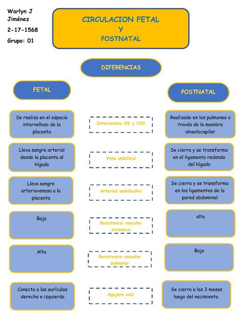 Circulación Fetal y Postnatal 