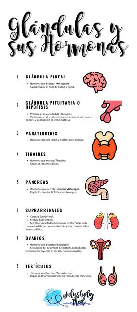 Glándulas y sus Hórmonas