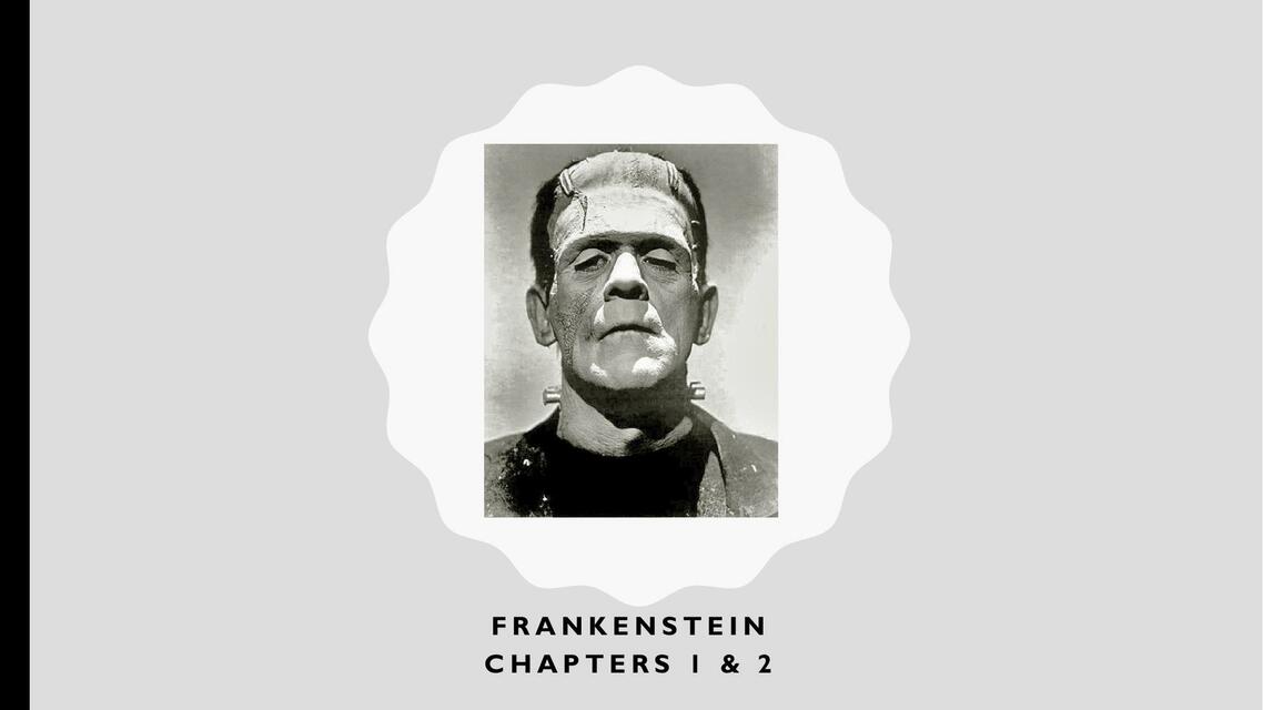 Frankenstein Chapters 1 and 2